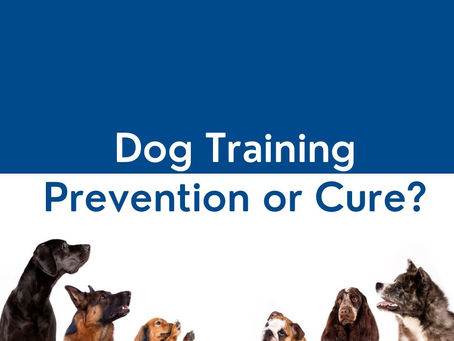 Training to prevent, not just to cure