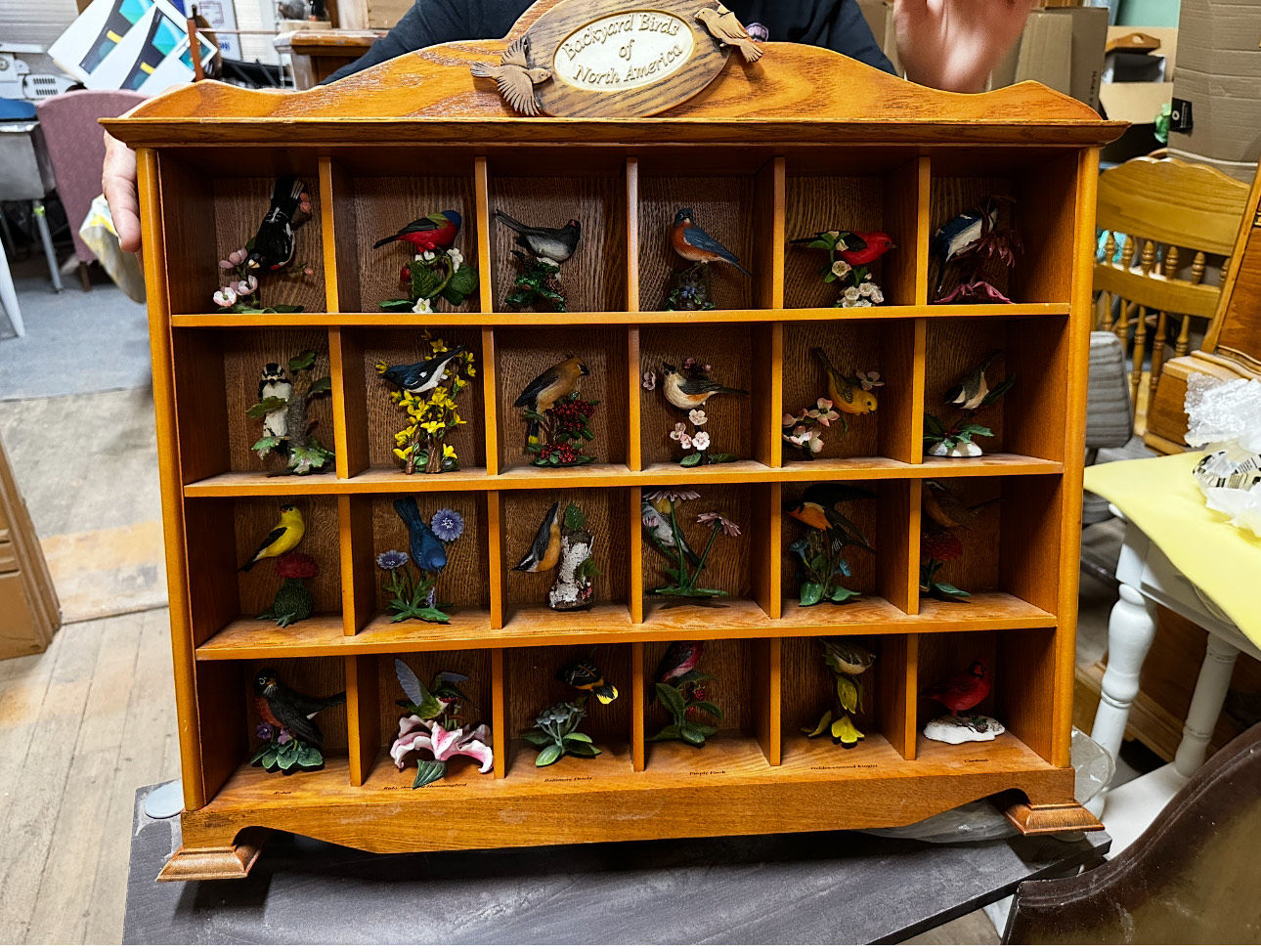 Backyard Birds of North America by The Danbury Mint