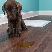 VOKTER - Maderincomm.pdf (54).jpg