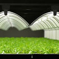 kagoshima-plantfactory-343.jpg