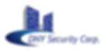 DNY Security Group Logo