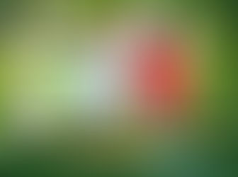 FB88 Thể Thao – Sân Chơi Cá Cược Đỉnh Cao, Đa Dạng Kèo Cược Và Ưu Đãi Hấp Dẫn