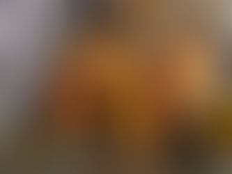 Menus and Memories of the Life of a Food Stylist