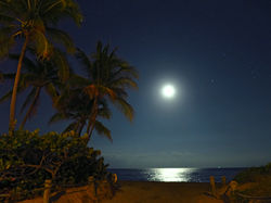 November Moonrise