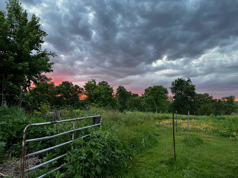 Sunset on the Farm