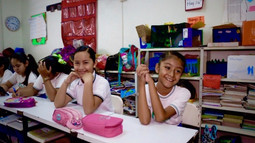pillicao-05.jpeg