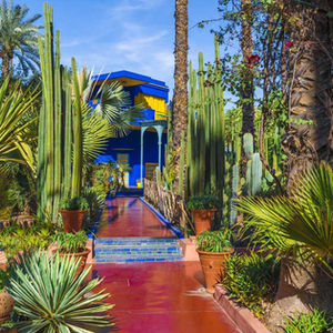 Top Local Attractions Near Riad Emberiza Sahari