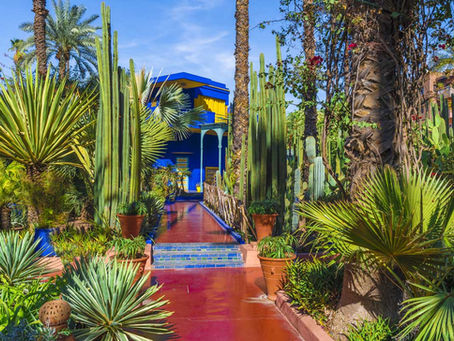Top Local Attractions Near Riad Emberiza Sahari