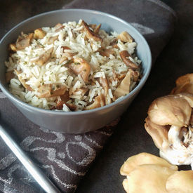 Riz aux pleurotes