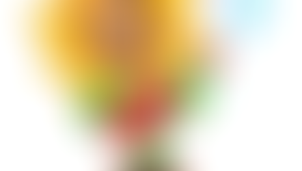 💓✨❤️✨💓╮FESTA JUNINA╭💓✨❤️✨💓