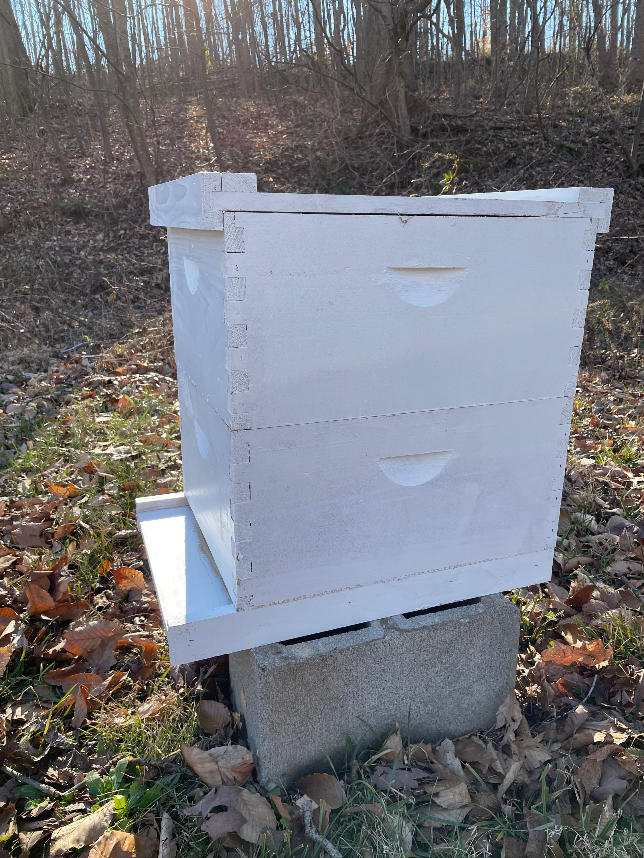 $165 Complete starter Hive kit add on. $50 Deposit required