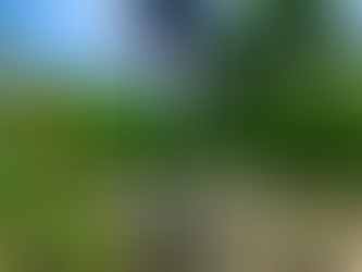 〜捨てる廃材の再活用法〜 　廃材でバスケゴールを造る