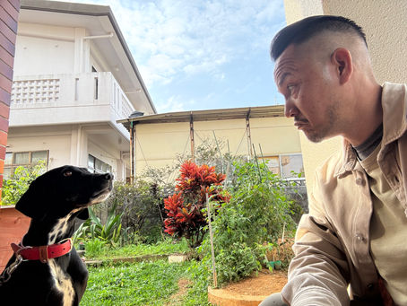 犬と私