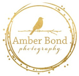 ABP Gold solid white_edited.jpg