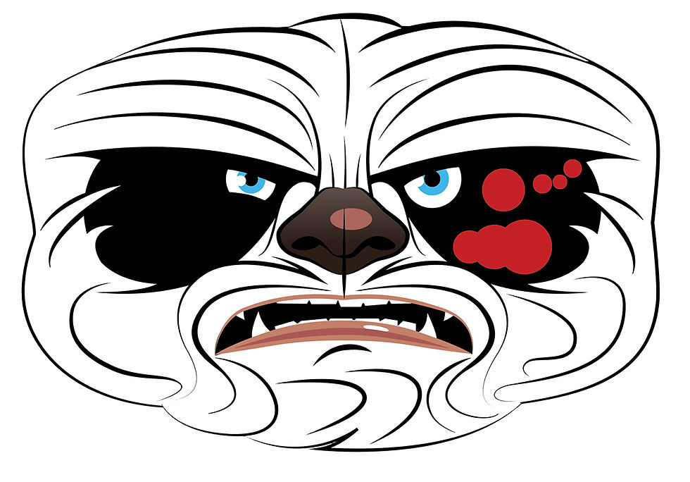 Chewbacca_VM_02