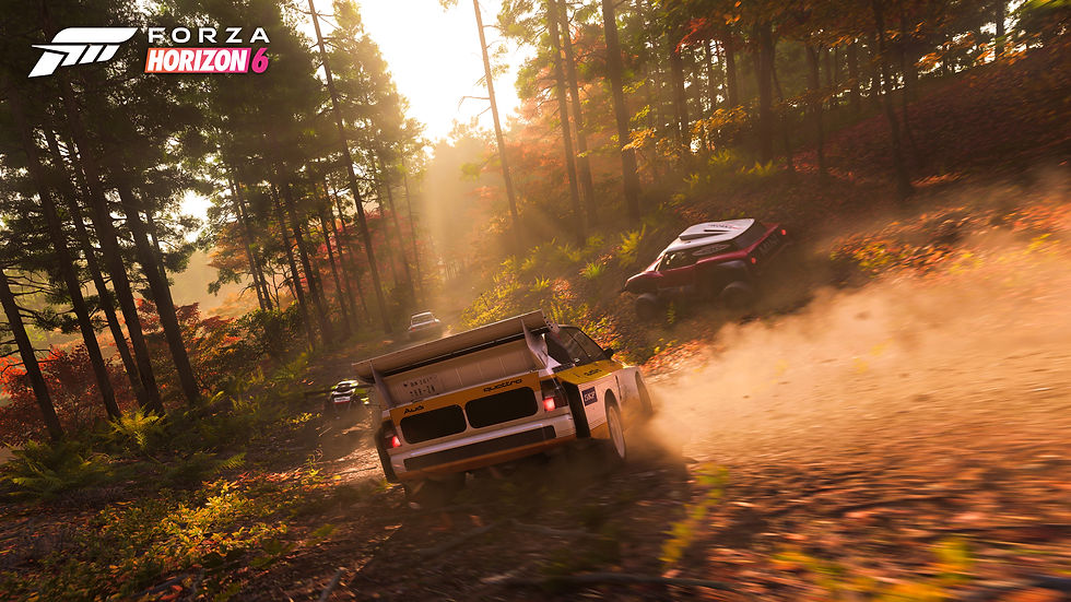 Rallyautos rasen durch einen herbstlichen Wald bei Sonnenuntergang, aufgewirbelter Staub. Text: Forza Horizon 6. Dynamische Atmosphäre.