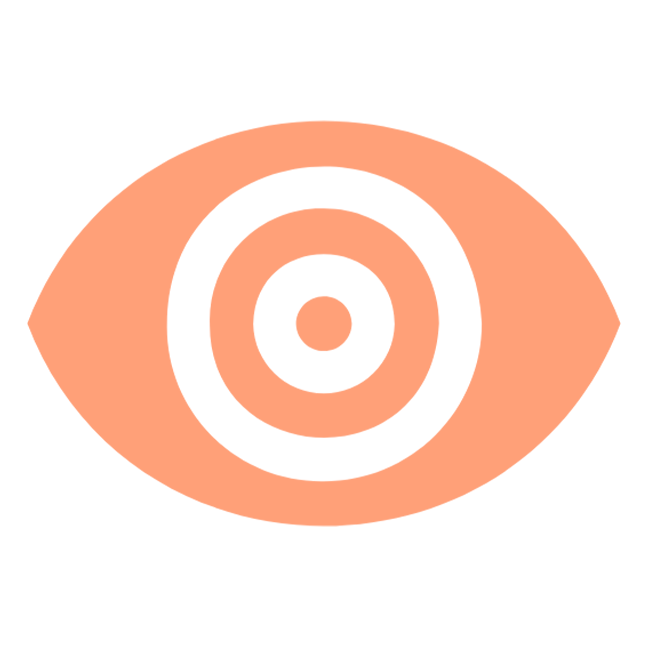 THE_VISION