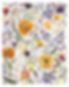 _34A8173_3_8x10 (resized).png