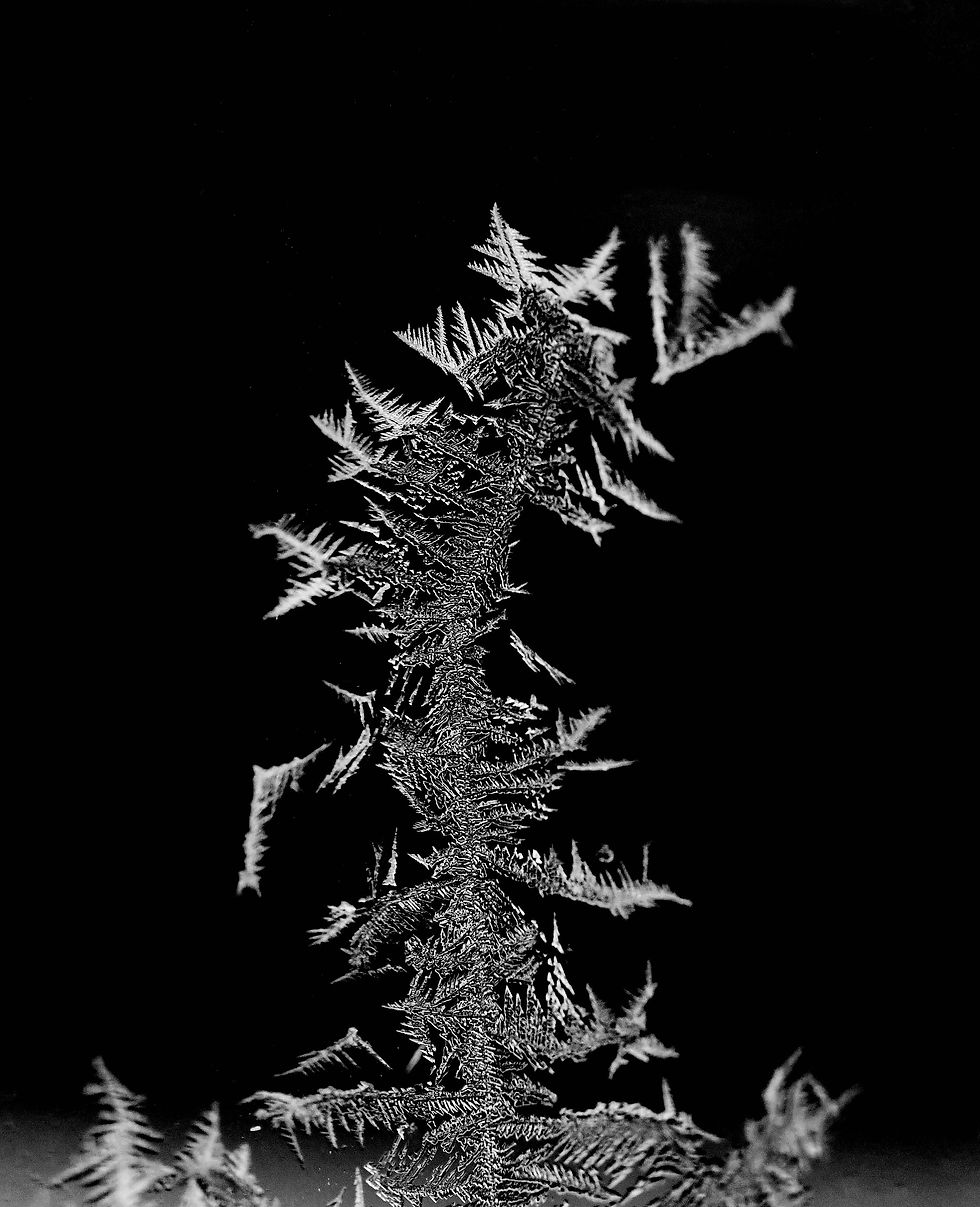 Cristaux de glace