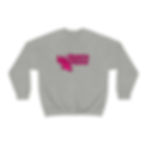 Thumbnail: UNT Sweatshirt