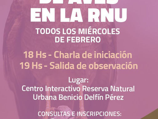 Este miércoles viví una nueva jornada de avistaje de aves en la reserva natural urbana "Benicio Delfín Pérez"