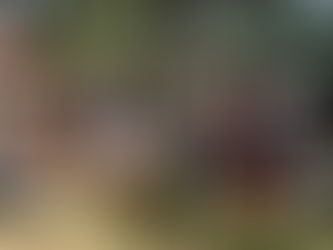 Último encuentro de la “Red de directores y directores de Nivel Inicial”