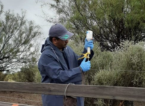 Inicia la I°Campaña de Vacunación Antiaftosa 2023