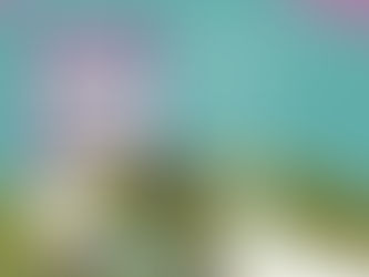 Jornada de limpieza y concientización ambiental con veteranos de Malvinas y alumnos de la esc. 267