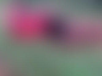 Tragedia en la ruta 34: dos muertos tras chocar un auto contra un micro