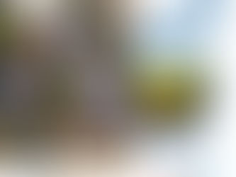 Se viene la XXIV Jornada Hortícola en el CERET