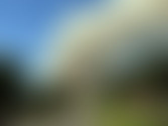 Brigadistas combatían incendio en parque nacional ubicado en Campana