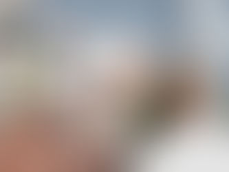 Incendios y saqueos en el santuario de las víctimas de Iron Mountain