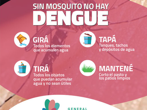 Dengue: Refuerzan medidas preventivas