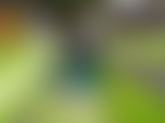 Este miércoles 25 llevá tus residuos al Punto Verde Movíl en la Plaza Pico