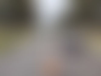 Controles preventivos detectaron 12 alcoholemias positivas el fin de semana