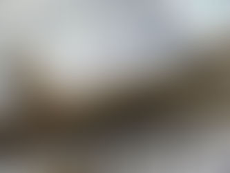 El dólar cotiza a $ 102,75 en el Banco Nación y el riesgo país se mantiene en 1.509 puntos