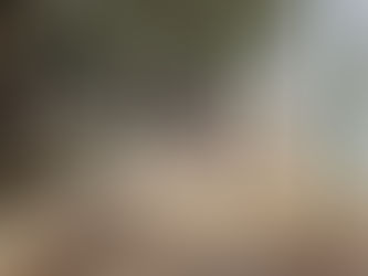 La Municipalidad desarrolló la 17° jornada integral de limpieza