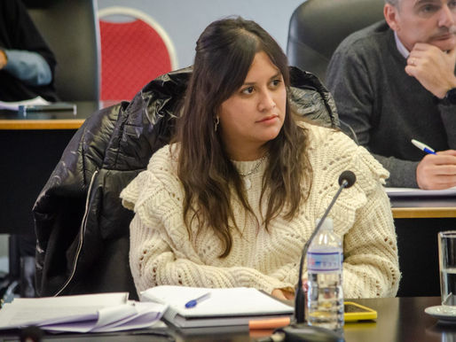 Se aprobó el pedido de informe sobre las viviendas no finalizadas en La Maruja, solicitado por Viara