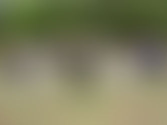 La Pampa participó de un Encuentro Federal de Formación Policial