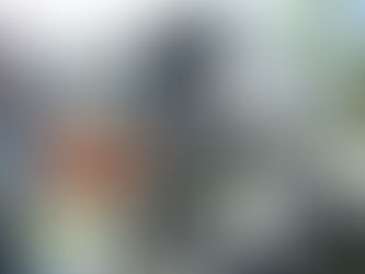 Más de 16 mil kilos de Raees fueron enviados a Córdoba para su tratamiento adecuado durante este año