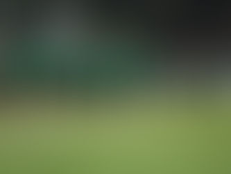 Ferro de Pico inició la pretemporada con la conducción técnica de Darío Portis