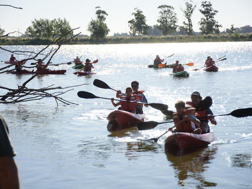 Con una gran concurrencia se llevó a cabo el avistamiento de aves en kayak