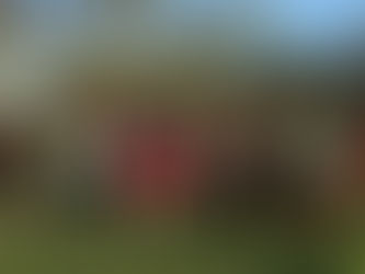 "Una experiencia única": primeras delegaciones del Cumelén vivieron la brama en Parque Luro