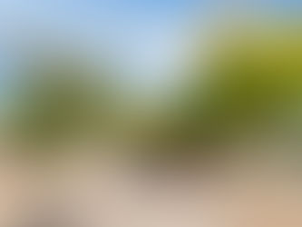 Murió una joven impactada por una bala perdida durante la Navidad en Mendoza