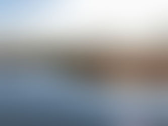 Sumate al campamento familiar en la Reserva Natural Urbana el próximo 25 de Enero