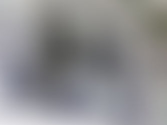 El Gobierno amplió la lista de sectores que pueden acceder al dólar agro: ¿Cuáles son?