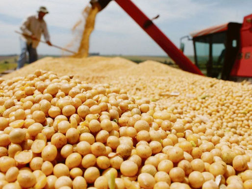 El precio de la soja sube en Chicago por tercera rueda consecutiva