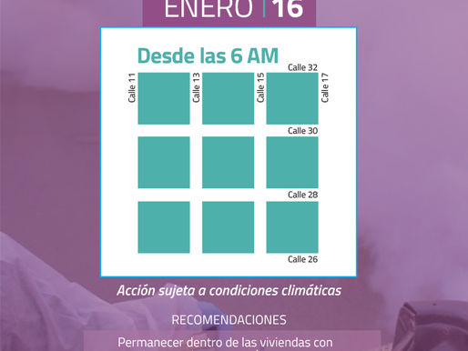 El Municipio realizará una jornada de fumigación preventiva