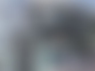 Decretarán feriado nacional para recibir a la Selección campeona del mundo