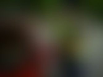 En 2024 se escanearon a casi medio millón de personas que pasaron por las rutas de La Pampa